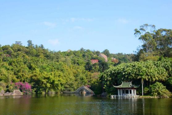 厦门旅游景点 万石植物园