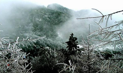 雪宝山深林公园