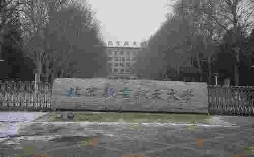 北京一本大学排名 北京一本大学哪所最好？(图5)