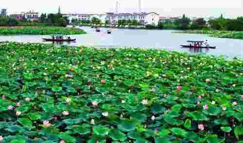 安徽省芜湖市十大旅游景点排行榜 芜湖有什么好玩的地方(图9)