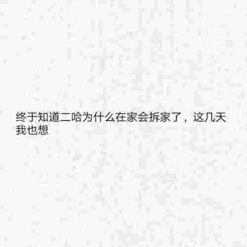 一句让对方必回复的话（经典的自动回复语言）(图3)