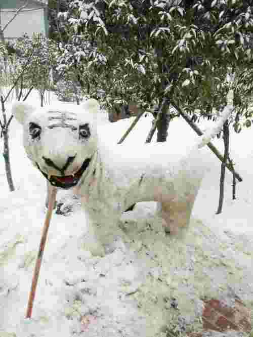 梦见下雪是什么意思（梦到下雪预示了什么）(图4)