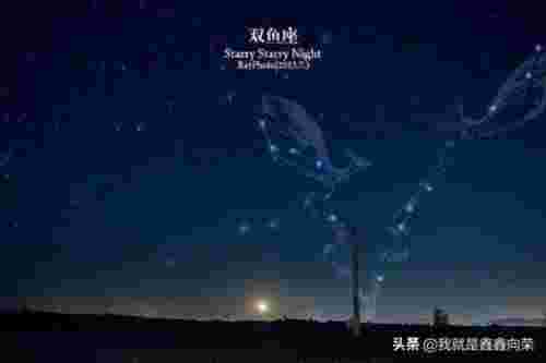 天秤座女和什么星座最配（天秤座女生与什么星座最搭）(图7)