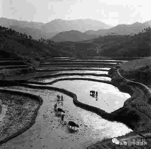 女人梦见大海（梦见水和湖泊大海。）