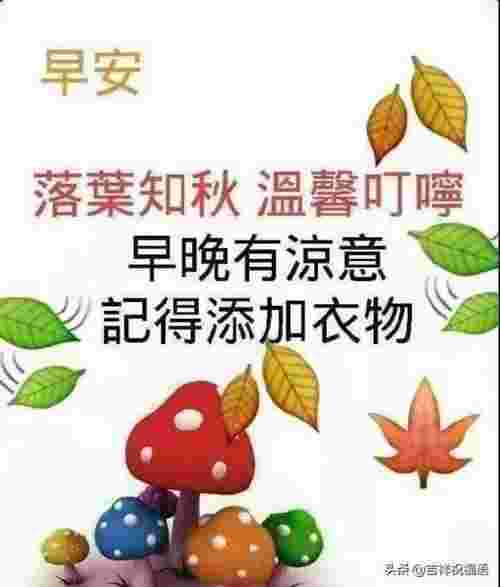 问候朋友早上好的短句（句句温暖人心的早安问候语）(图2)