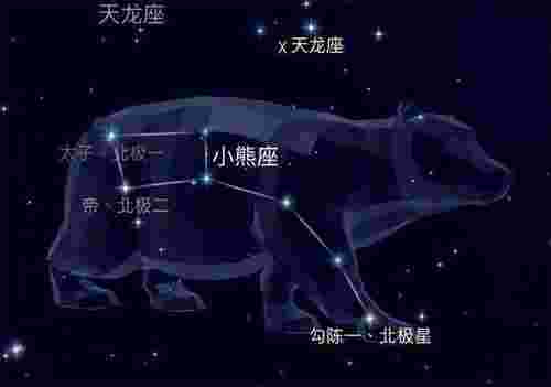 北极星属于哪个星座（没想到你是这样的北极星）(图4)