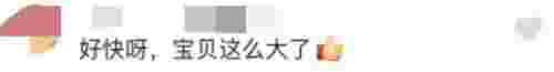 章子怡二胎男宝宝叫什么名字，章子怡二胎儿子长大了(图6)