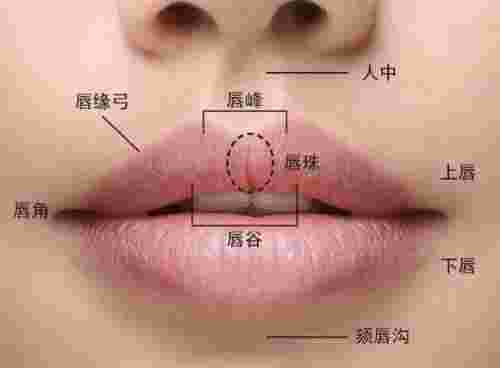 上嘴唇薄下嘴唇厚是什么唇形，判断自己是什么唇形(图2)