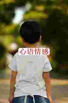 男孩教育专题：五堂课——为什么你不应该要求男孩要“男人一点”