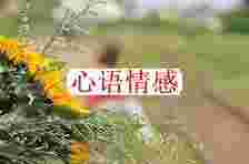 男人越轨的原因是什么？已婚男人越轨十大原因