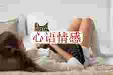 活得洒脱的女性，都像“猫”相同具有9个特质