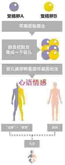 绿帽之谜：妻子分明没越轨，为什么会怀上其他男人的孩子？