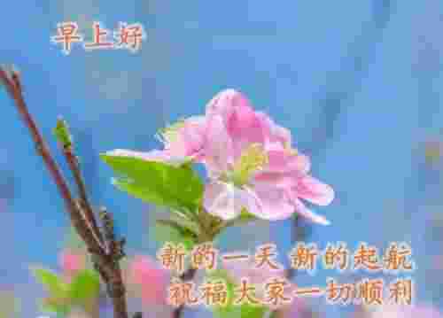 图片配文字，清新带字图片安康问候祝福图片大全(图16)